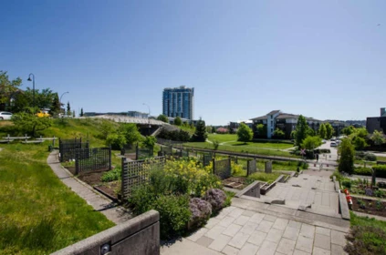 Garden / Landscaping Photo of 225 Salter Street, New Westminster, BC