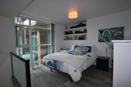 Laundry Room Photo of 229 10 Renaissance Square, New Westminster, BC