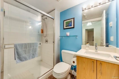 Walk-In Closet Photo of 116 4723 Dawson Street, Burnaby, BC