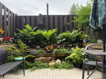 Street View Photo of 6 340 Ginger Drive, New Westminster, BC