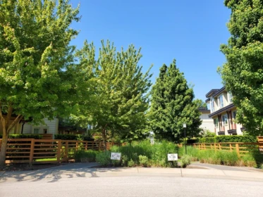 Loft / Bonus Room Photo of 61 19477 72a Avenue, Surrey, BC
