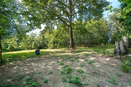 Front Yard Photo of 27437 12b Avenue, Langley, BC
