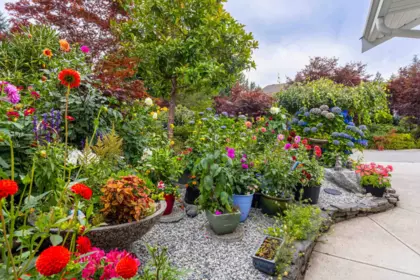 Outdoor Deck Photo of 15 12710 Lagoon Road, Madeira Park, BC