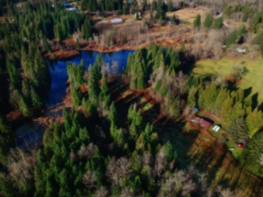 14157 Sylvester Road, Mission, BC, Mission — Single Family Residence for sale