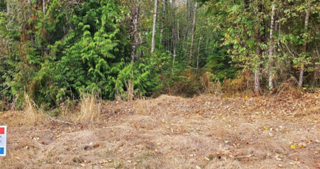 12350 270a Street, Maple Ridge, BC, Northeast —  bed land for sale