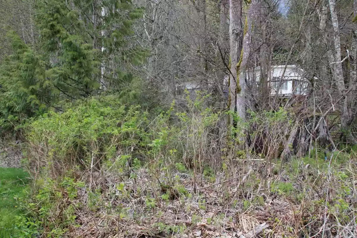 Dining Area Photo of 66555 Kereluk Road, Hope, BC