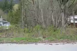 66555 Kereluk Road, Hope, BC