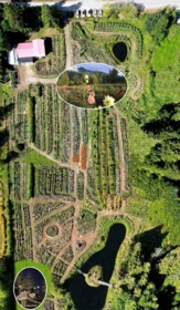 13842 Spratt Road, Mission, BC, Dewdney Deroche — 5 bed single family residence for sale