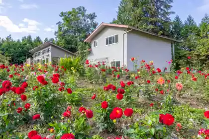 13842 Spratt Road, Mission, BC, Mission — Single Family Residence for sale