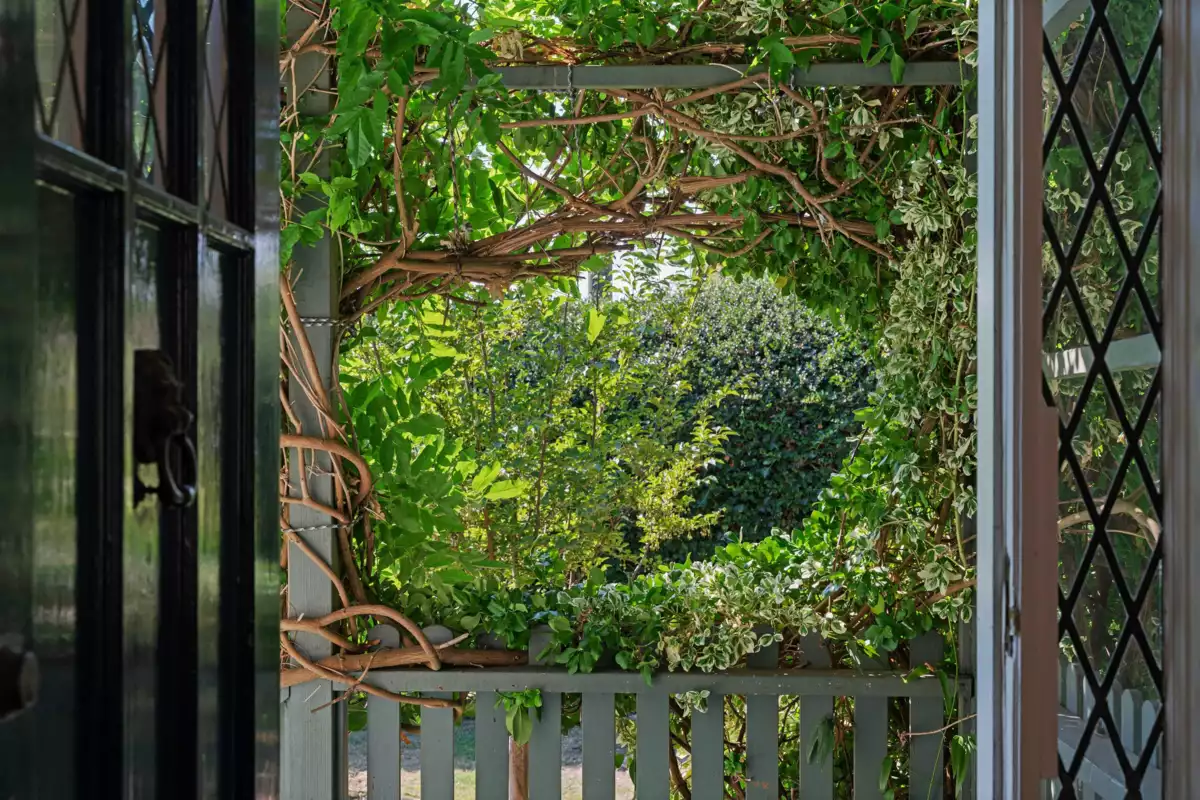 Backyard Photo of 1376 11th Street, West Vancouver, BC