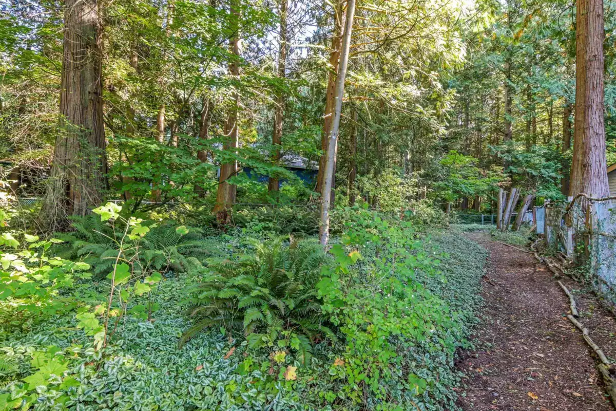 Aerial View of 2842 130 Street, Surrey, BC