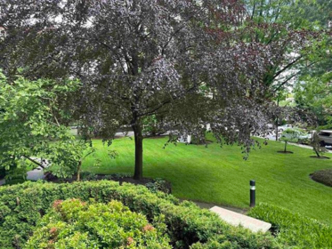 201 6188 Patterson Avenue, Burnaby, BC, Burnaby — Apartment/Condo for sale