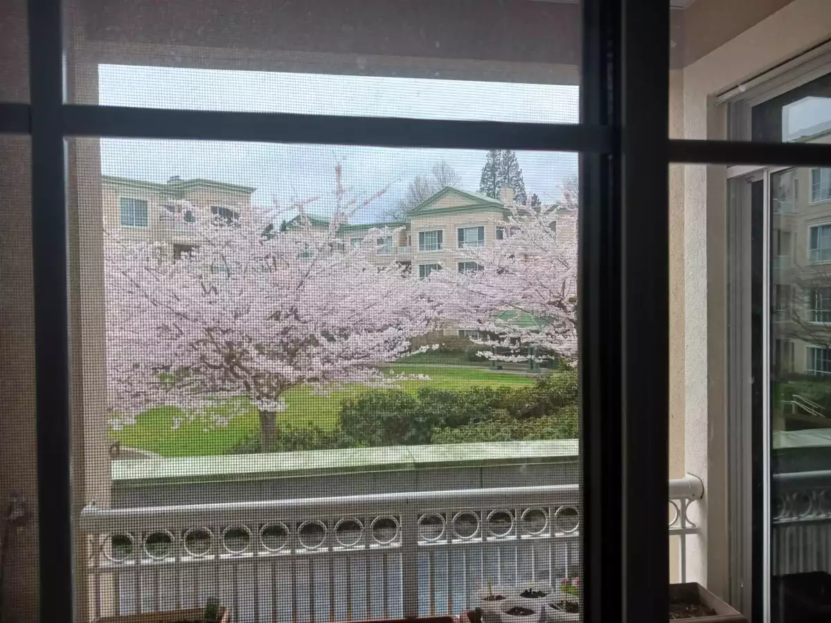 Outdoor Deck Photo of 204 2995 Princess Crescent, Coquitlam, BC