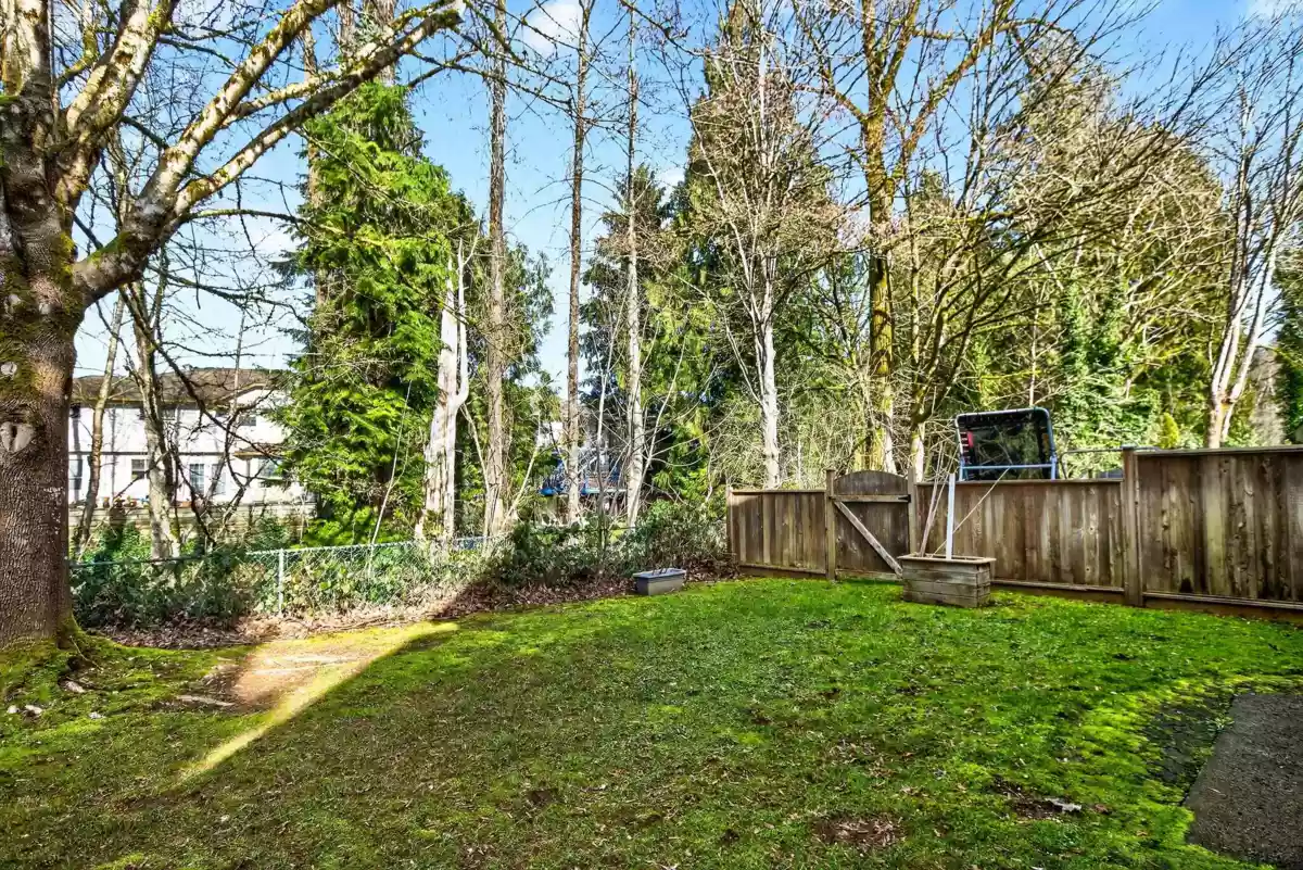 Backyard Photo of 24 20888 Mckinney Avenue, Maple Ridge, BC