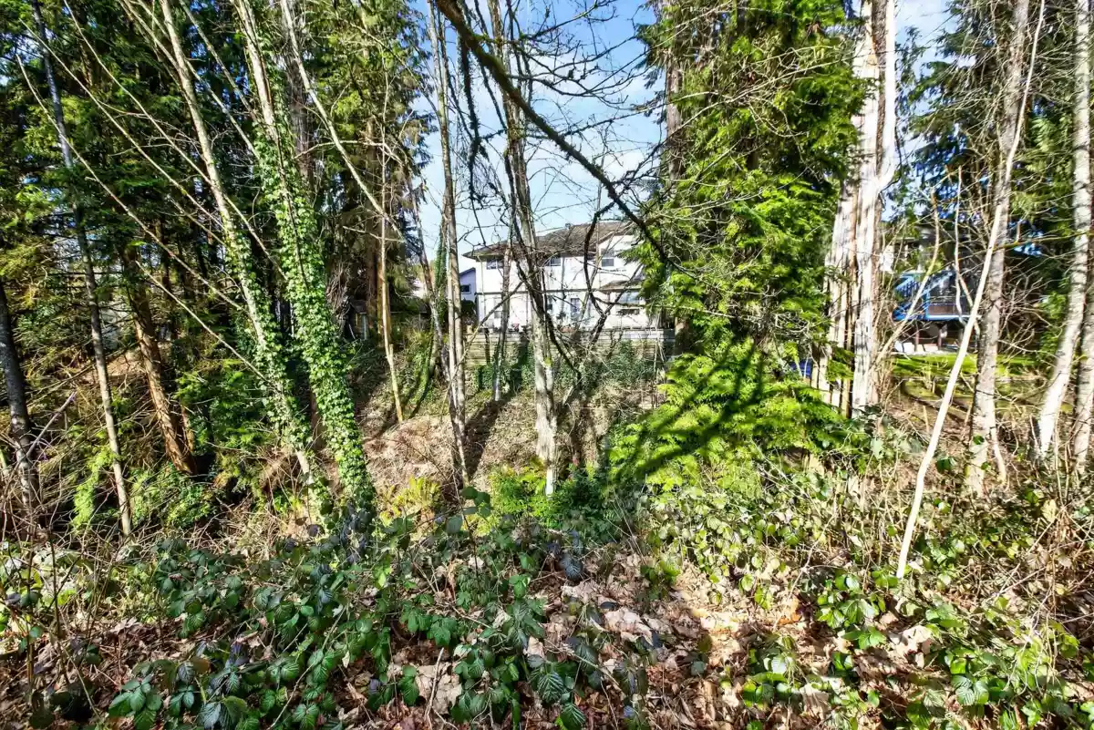Swimming Pool Photo of 24 20888 Mckinney Avenue, Maple Ridge, BC
