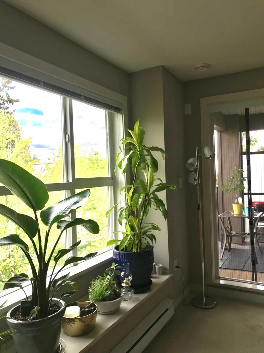Dining Area Photo of 314 5889 Irmin Street, Burnaby, BC