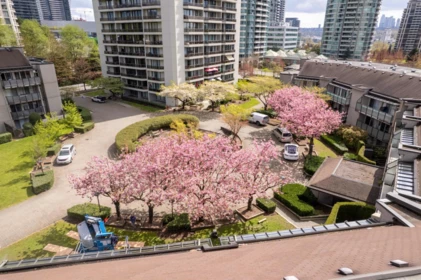 Office / Den Photo of 202 4353 Halifax Street, Burnaby, BC