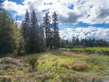 25655 Lougheed Highway, Maple Ridge, BC, Maple Ridge — Land for sale