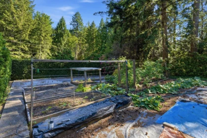 Front Yard Photo of 4065 Francis Peninsula Road, Madeira Park, BC
