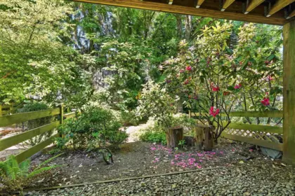 Backyard Photo of 7 15075 60 Avenue, Surrey, BC