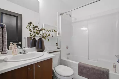 Basement Recreation Room Photo of 7 15075 60 Avenue, Surrey, BC