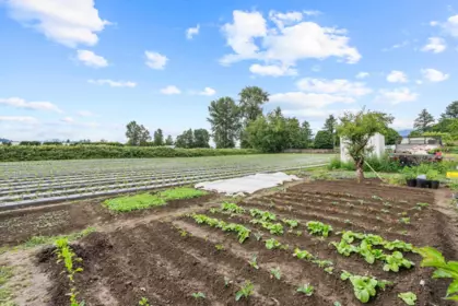 Garden / Landscaping Photo of 44081 Keith Wilson Road, Chilliwack, BC