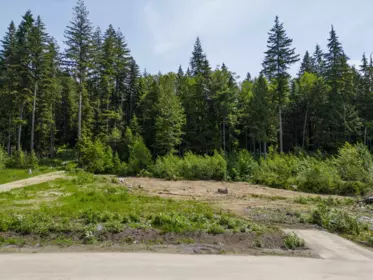12582 271 Street, Maple Ridge, BC, Maple Ridge — Land for sale
