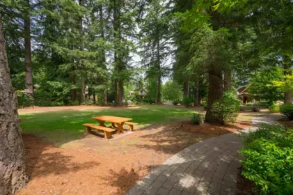 Neighborhood Park Photo Near 43610 Cotton Tail Crossing, Lindell Beach, BC
