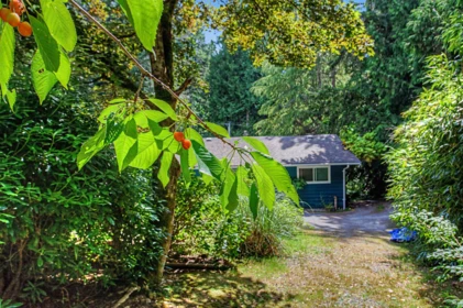 Backyard Photo of 2588 Lower Road, Roberts Creek, BC