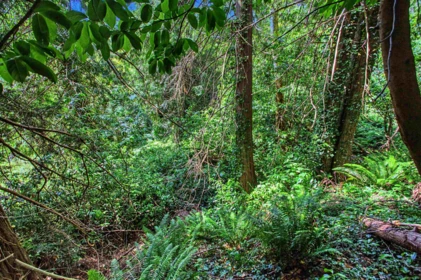 Front Yard Photo of 2588 Lower Road, Roberts Creek, BC