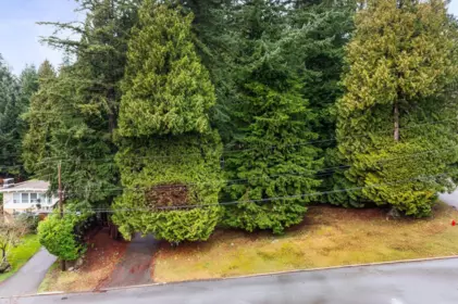 Breakfast Nook Photo of LOT 2 3091 Royal Avenue, North Vancouver, BC