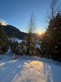 Front Yard Photo of 30 2544 Snowridge Circle, Whistler, BC
