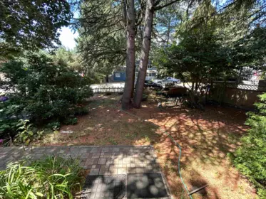 Backyard Photo of 7048 140a Street, Surrey, BC
