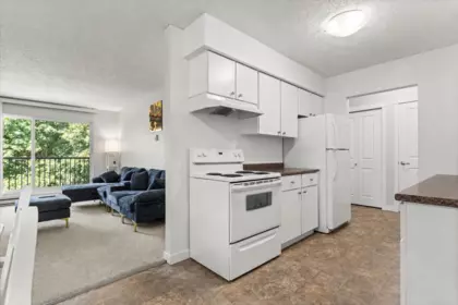 Pantry Photo of 111 45598 Mcintosh Drive, Chilliwack, BC