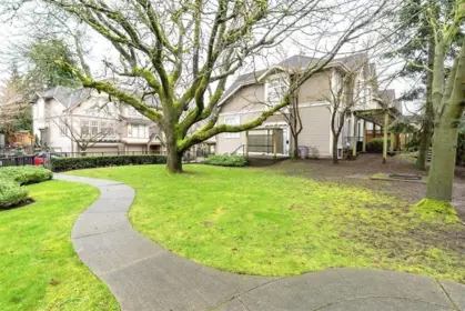 Basement Recreation Room Photo of 5 6588 188 Street, Surrey, BC