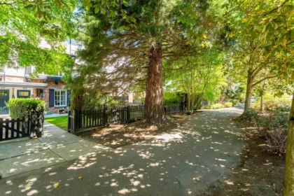Backyard Photo of 46 2450 161a Street, Surrey, BC