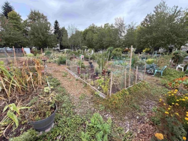 Garden / Landscaping Photo of 204 5464 201a Street, Langley, BC
