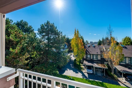 Backyard Photo of 321 7453 Moffatt Road, Richmond, BC