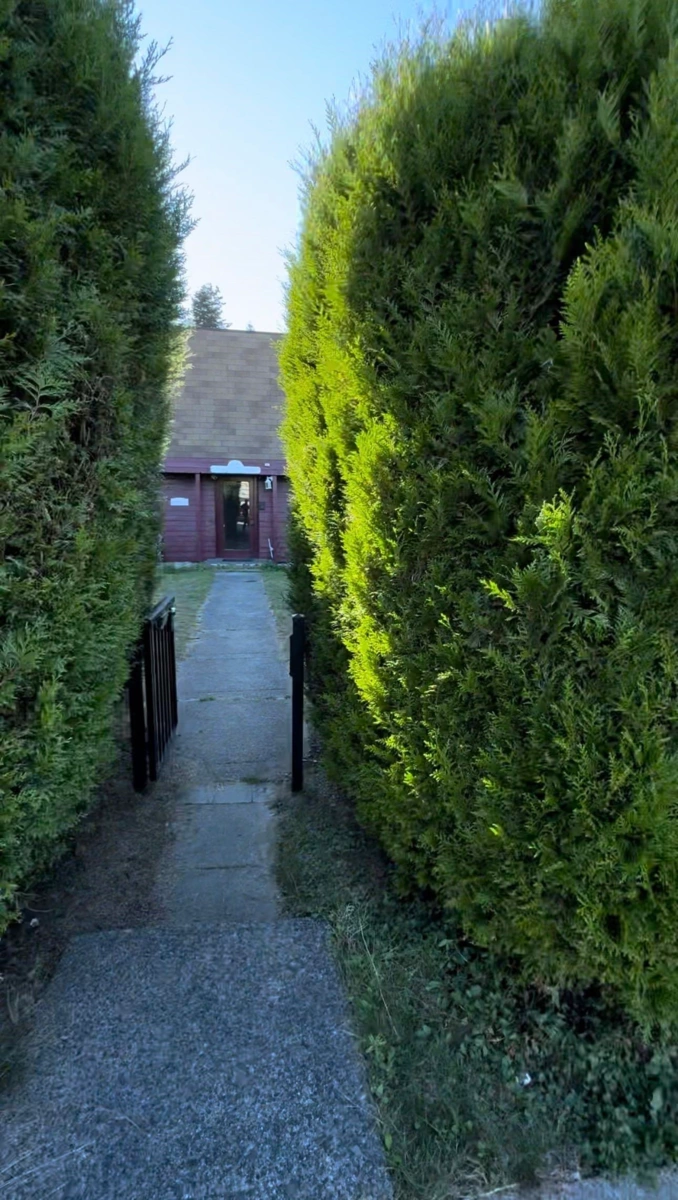 Family Room Photo of 5333 Barker Avenue, Burnaby, BC