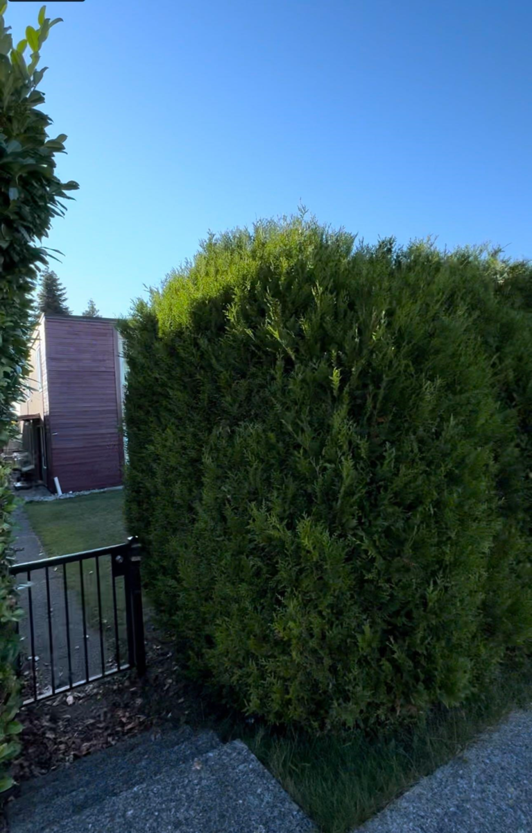 Living Room Photo of 5333 Barker Avenue, Burnaby, BC