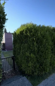 5333 Barker Avenue, Burnaby, BC, Burnaby — Single Family Residence for sale