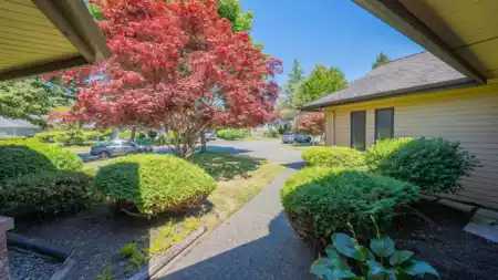 Garden / Landscaping Photo of 14076 19a Avenue, Surrey, BC