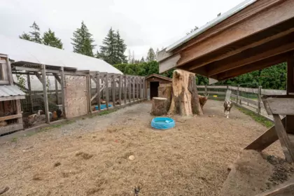 Garage Interior Photo of 12290 252 Street, Maple Ridge, BC