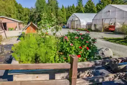 Outdoor Patio Photo of 12290 252 Street, Maple Ridge, BC