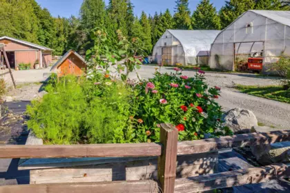 Outdoor Patio Photo of 12290 252 Street, Maple Ridge, BC