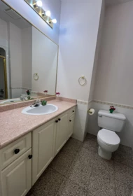 Basement Recreation Room Photo of 3147 Silverthrone Drive, Coquitlam, BC