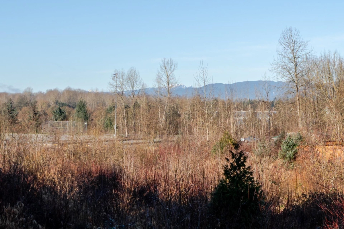 Neighborhood Park Photo Near 23855 103a, Maple Ridge, BC