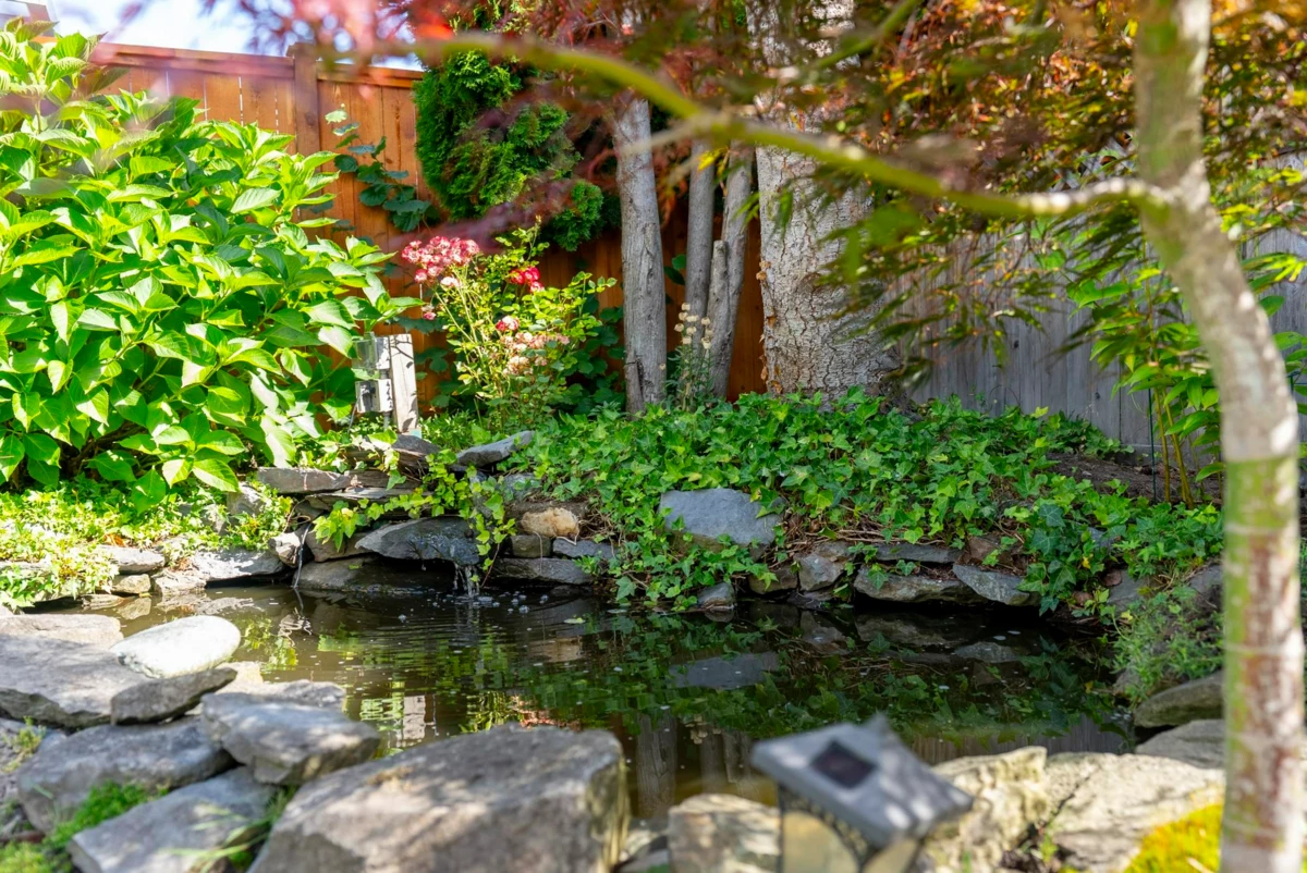 Aerial View of 4652 55a Street, Delta, BC