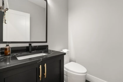 Basement Recreation Room Photo of 15 45875 South Sumas Road, Chilliwack, BC