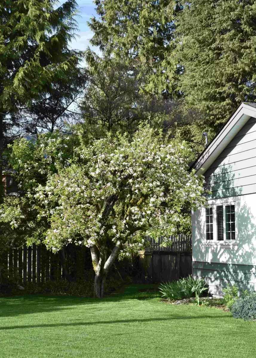 Laundry Room Photo of 3474 Greentree Lane, North Vancouver, BC